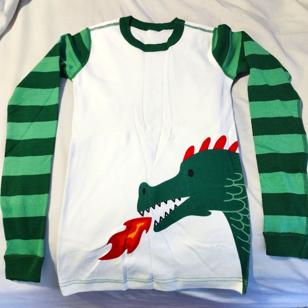 Hanna Andersson PJ's Top Boys XL Size 14-16 Firebreathing Green Dragon